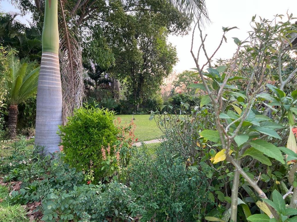 فندق Golden Bamboo Nyanda المظهر الخارجي الصورة